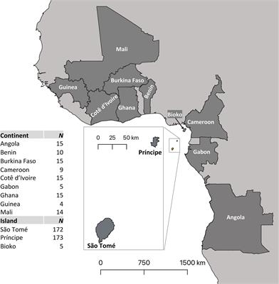 Mitogenome Analyses Reveal Limited Introduction of Anopheles coluzzii Into the Central African Islands of São Tomé and Príncipe
